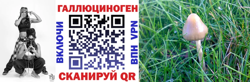 Псилоцибиновые грибы мицелий  Кашин 