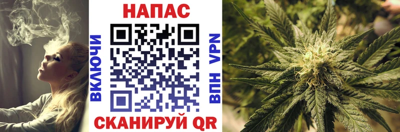 Конопля конопля МЕГА Кашин